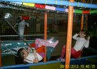 PIC 0071
